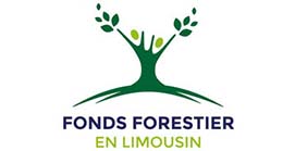 fond forestier